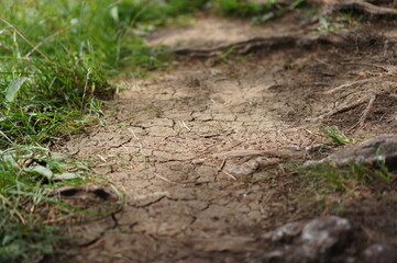 trockener Weg