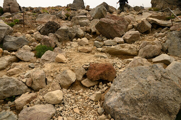 北海道旭岳の森林限界を超えた登山道