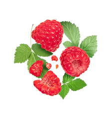 Ripe raspberries with leaves close up isolated on white background - obrazy, fototapety, plakaty