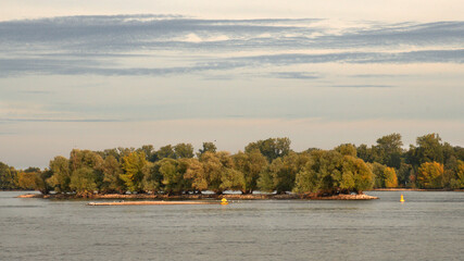 Rhein mit Insel bei Mittelheim