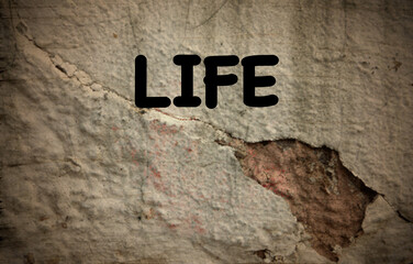 Life written on an old broken wall