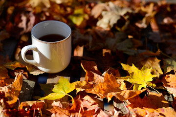 Tea or coffee outdoors on an autumn background. Autumn still life with a white mug with tea or coffee. Blurred autumn background, yellow, red and orange autumn leaves