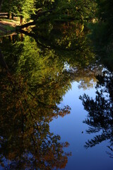 Trees reflections on water surface. Fall season in a park. Autumn in Europe. Abstract natural background. 