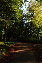 Beautiful day in autumn park. Pathway trough green trees. Sunny day in Dutch park. European nature landscape photo. 