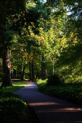 Beautiful day in autumn park. Pathway trough green trees. Sunny day in Dutch park. European nature landscape photo. 