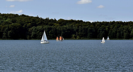 Naturpark Lauenburgische Seen 