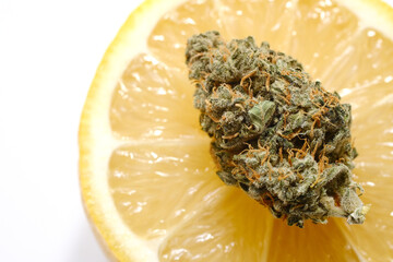 Cannabis bud macro view, close-up, flat lay. Lemon haze marijuana bloom on white background. Weed...