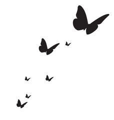 flying butterflies silhouette