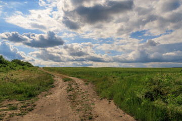 Fototapeta na wymiar beautiful day landscape with the country road and cloudy sky