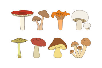 Cartoon autumn editable mushroom icon set isolated on white background. Food vector illustration