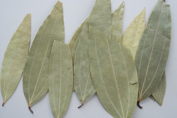 laurel leaves piled on gray paper