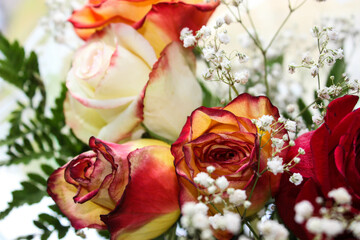 bouquet of roses