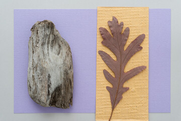 autumn oak leaf and driftwood object on paper