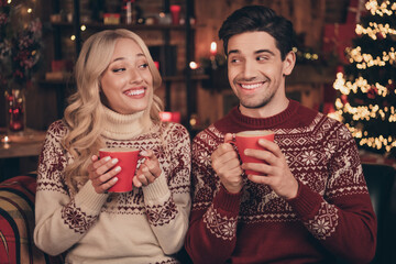 Photo of pretty funny husband wife wear print sweaters smiling enjoying new year beverages indoors...