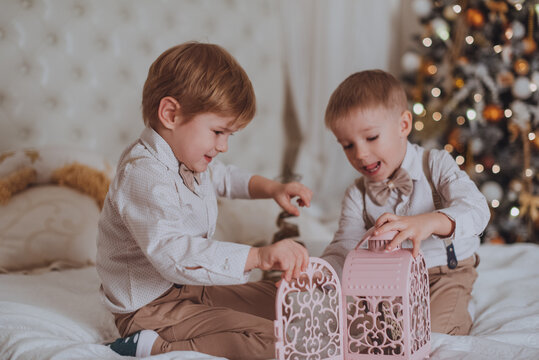 Cheerful cute children boys opening gifts under christmas tree.