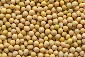 Soy Beans Background