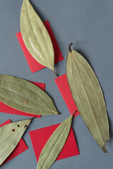 laurel leaves on red paper squares