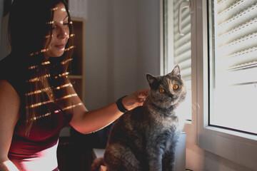 Young caucasian woman petting a British shorthair cat