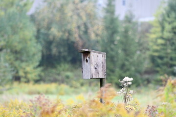 wooden birdhouse