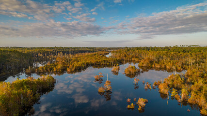 Aerial landscape of Dead Lakes in the fall