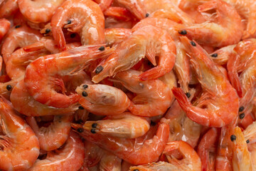 Shrimps background texture. A lot of shrimps. Cooked shrimps.