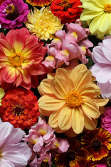Obraz na płótnie Canvas dahlias and snapdragons as a floral background