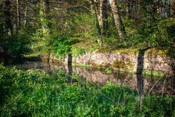 Moat Ditch With Ancient Barrier Wall, Ireland