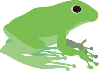 シンプルな蛙