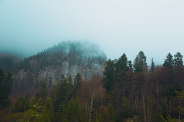 fog in the mountains