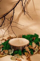 Eco friendly wooden podium for the presentation of cosmetics. Autumn concept, vertical photo