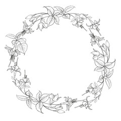 Round wreath of tropical flowers in black and white. Frame made of fuchsia.