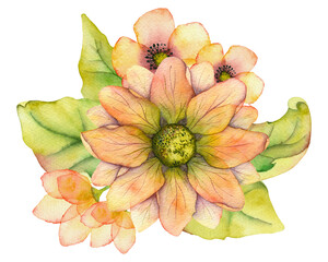 Watercolor floral arrangement, detailed flowers. For decorating eco-packaging, invitations to a rustic celebration, wedding invitations, creating a beauty business card