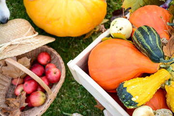 wheelbarrow full of pumpkins and apples