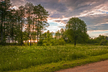 Obraz premium Summer evening landscape with trees and a pond
