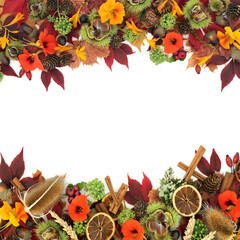 Abstract Fall Thanksgiving natural background border with leaves, flowers, fruit, nuts and spice on...