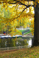 Obraz premium Autumn landscape. Gazebo for relaxing among the yellow autumn trees. The boats are moored to the shore of the lake. A picturesque autumn park.