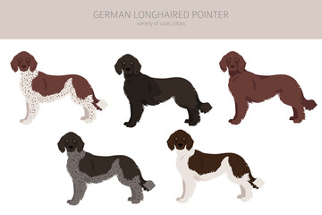 German longhaired pointer clipart. Different poses, coat colors set