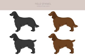 Field spaniel clipart. Different poses, coat colors set