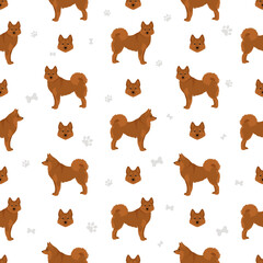 Fiinnish spitz seamless pattern. Different poses, coat colors set