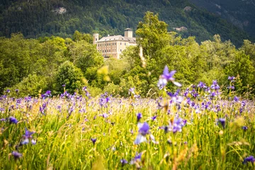 Foto auf Acrylglas trautenfels castle with meadow full of iris in foreground, iris sibirica, styria, austria © Andrea Aigner
