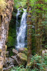 Merriman Falls waterfall in Olympic National Park Washington State