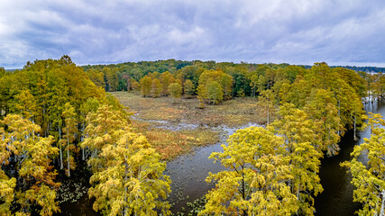Aerial Drone Shot of Autumn Trees In Virginia 
