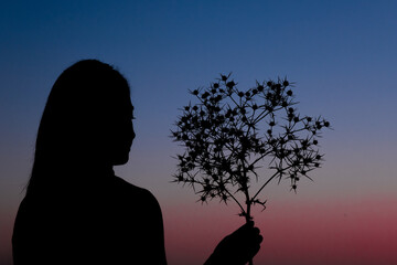 silhouette of woman holding prickly plant