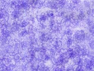 Abstract watercolor textured delicate light purple background, banner , frost effect