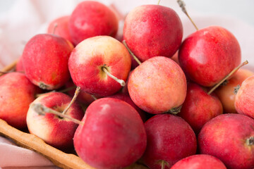 Garden, ripe, natural, mini apples in an eco bowl, selective focus