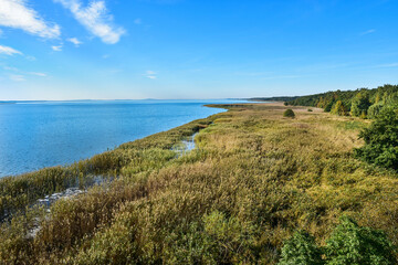 Fototapeta na wymiar pier and reeds, beautiful landscape