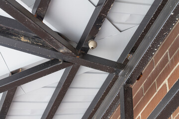 Wasp nest under the roof of the gazebo, dangerous insects for people