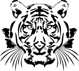 Handdrawn tiger head. Chinese symbol of the New Year 2022.