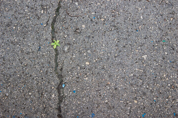 asphalt background