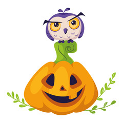 Owl sitting on pumpkin for Halloween. Сartoon vector illustration
